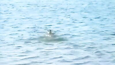 Blond Stud Handjob Classic Gay Teen Porn: Revisited!