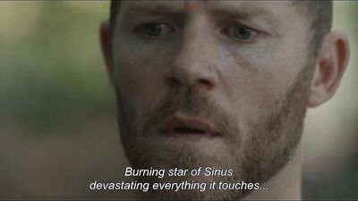 Forbidden Desires in the Forest