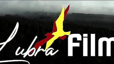 Our Senses: A Gay Romance