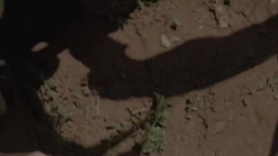 Shoot My Sperm! - A Lot Of Cum Play