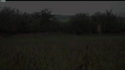 Twink Licking Mania - Hardcore Bareback Fetish Orgy!