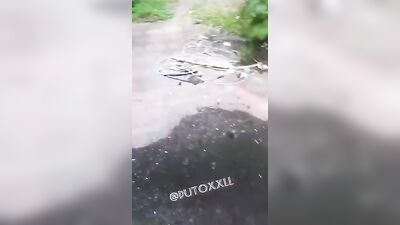 Sexual Oral Adventure in the Forest: A Gay Porn Video with Amateur Bareback Big Cocks Black Fun Handjob Interracial Oral and Anal Sex!