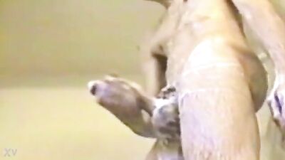 Gay Cam-To-Cam Web-Bang: Frat Boys and Big Cocks!