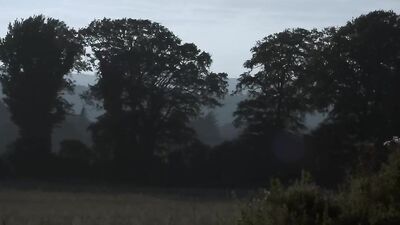 The Betrayal - A Gay Porn Video