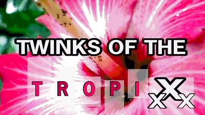 Tropixxx: Twinks Revisited - Cum Shots, Handjobs and Oral Delights!