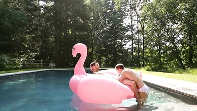 Pink Flamingo Sex Gay Porn Videos