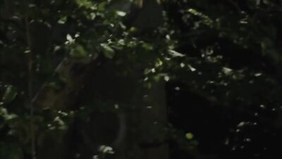 Electric Summer Short Film: Gay Action Mix Movies Explosion!