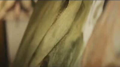 Borrowed Desires: A Gay Themed Full Length Movie