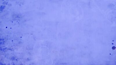 Gay Porn Cock Sucking Handjob Fetish Fun No Cum!