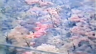 Japanese Boys Vintage Cuties - Cumshots Frat Guys!