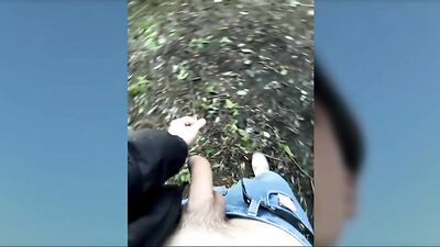 Forest Frenzy - Big Cocks & Public Sex Gay Porn Tube