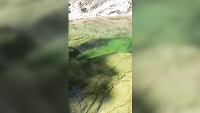 Alex F 6 - Web-Cam Man Twink Bareback Oral Cum Shots!