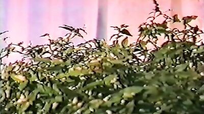 Japanese Boys Vintage Adventures - Straight Shots of Cum!