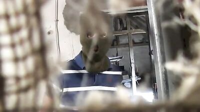 Gangster Fuck: Ki*dnapped Gayboy - Part Two