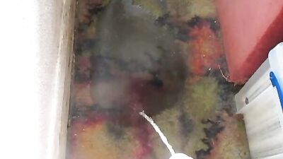 Relieving Myself on the Carpet: The Ultimate Urine Desperation!