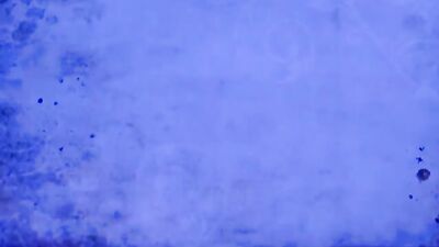 Blue Tygers Return: Big Cocks Fetish Fun Straight Boys Handjob Solo