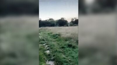 Tictok Twinks Blogging Public Blowjob: The Ultimate Amateur Oral Experience!