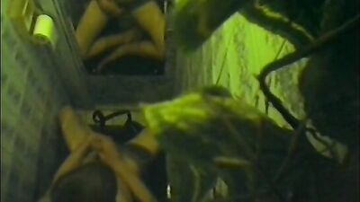 Gay Tube: The Ultimate Bathroom Experience - Explore the passion in the stalls with hot guys!