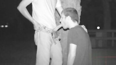 Gay Tube Olivers Night Sucking Outside - Handjobs, Oral, Voyeur