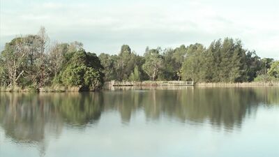 No Sex Short Film - A Gay Porn Video Adventure