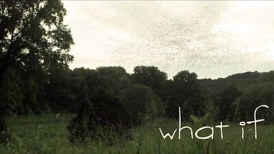 Music Short Film Gay Porn What If I Was You