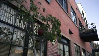 Museum Twinks Hookup: Amateur Frat Guys Porn