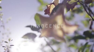 Evolution: Gay Short Film Adventure