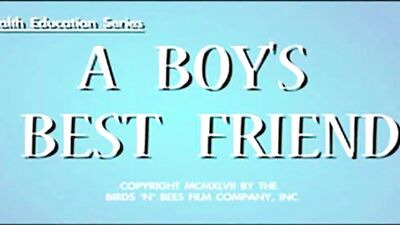 Birds and Bees Porn Cartoon - Sexy Animated Adventure!