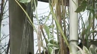 Brazilian Teen Boys Porn: Hot Riu Melo Action on Camera!