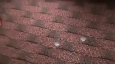 Asian Ass Playground: Big Cocks and More!