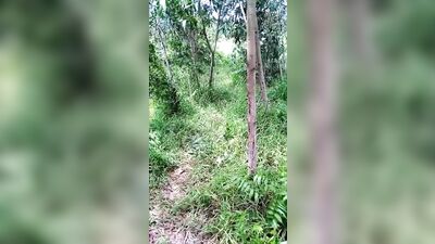 Play in My Shorts GBT Boy Gay Tube - Fetish Fantasy