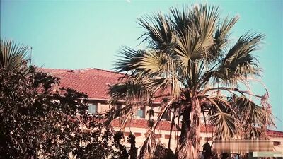 Unleashed Gay Porn Videos - Action Ass Play Bareback Party Favor