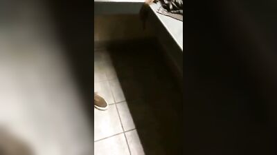 Gangbang with College Twinks: Jerking and Sucking Boys Porn