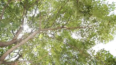 Mormon Hearts Opener - Three-Way Threeways