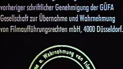 Gay Porn Videos - Rent Boys for the Night!