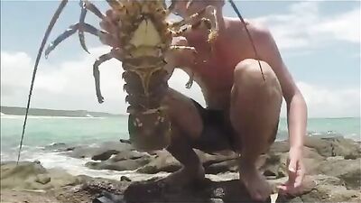 Lobster Boys Ocean Gay Tube Adventure