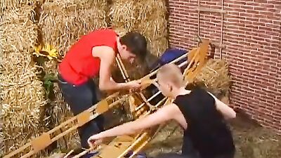 Young Passions: Barn Buddies Take Over