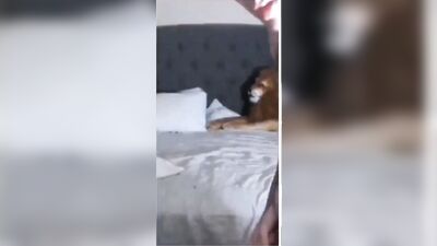 Aaron Carter Cums Real - Blond Boys Cum Shots Straight Boys