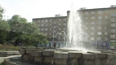 Gay Porn Dog Walking Bareback Adventure: Hookups At Home