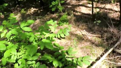 Young Twink Pick-Up Porn - Exploring Gay Teen Sex Online