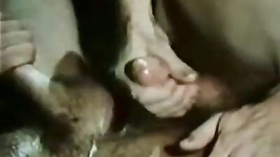 Hung Scene Boys: The Ultimate Vintage Gay Porn Experience!