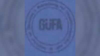 Young & Ambitious - 4 Movies of Unbridled Passion!