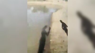 Gay Porn Outdoors Savana Boys Amature Adventure