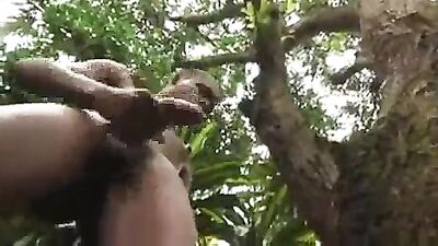 Wild Nature: Gay Porn Videos in the Raw!