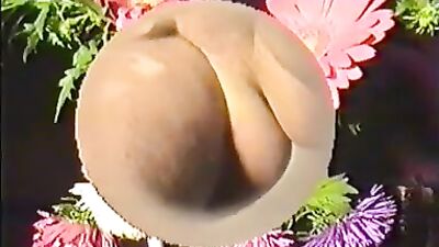 Flower Boys Vintage Gay Porn Video - Amateur Ass Play First Time