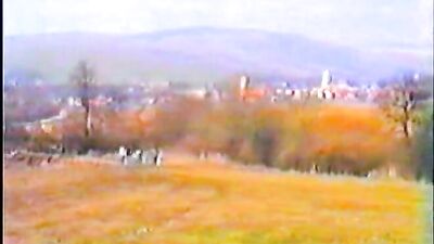 Group Sex Vintage - Bareback Cum Shots Days Of Porn!