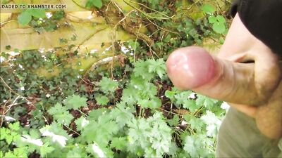 Natures Cum Dumpsters: Bug Slurpers Unleashed!