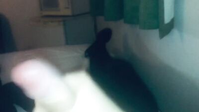 Cum Shots: Big Cocks Blond Boys Sucking Sensation