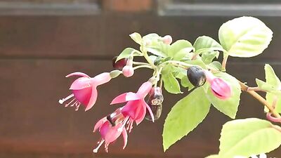 Gay Porn Photo Shoot Lusty Teens: Exploring Sexual Desire!