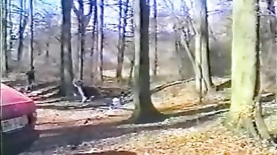 Young Castle Twinks: A Vintage Gay Porn Adventure